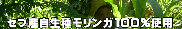 �Z�u�Y�����탂�����K100���g�p
