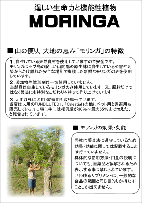 揑2