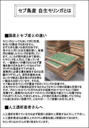 揑4