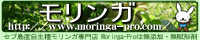K̂ƂȂ烂K v@S