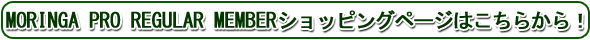 MORINGA PRO REGULAR MEMBERVbsOy[W͂炩I